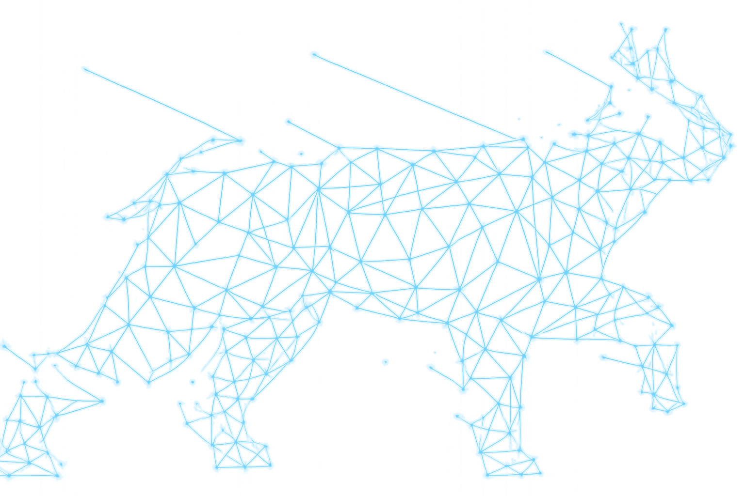 Lynx lumineux